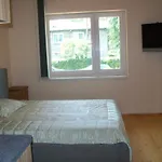 Pas Viktora Połąga