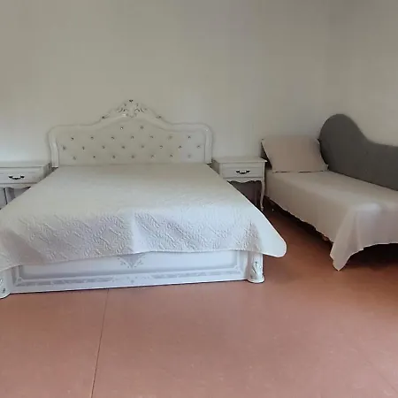 Pas Viktora Palanga
