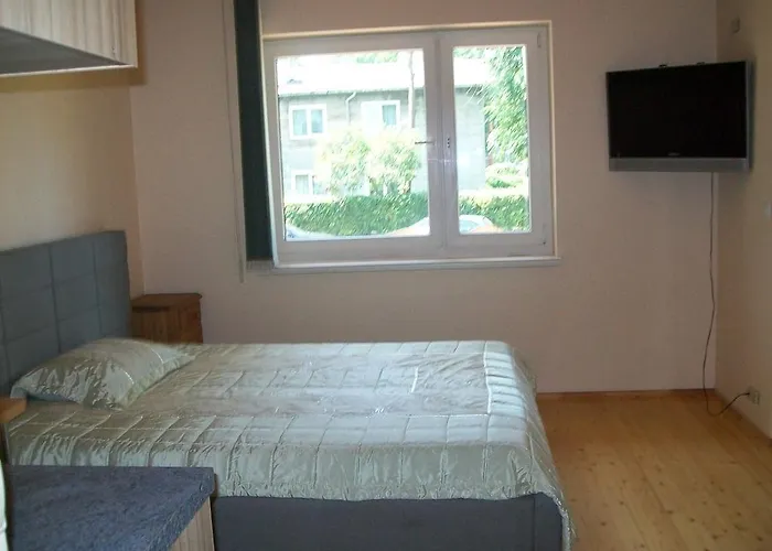 Pas Viktora Παλάγκα